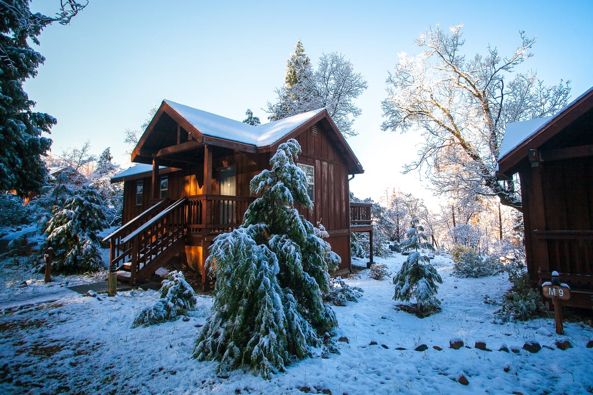 Evergreen Cabin in Winter (Kim Carroll)