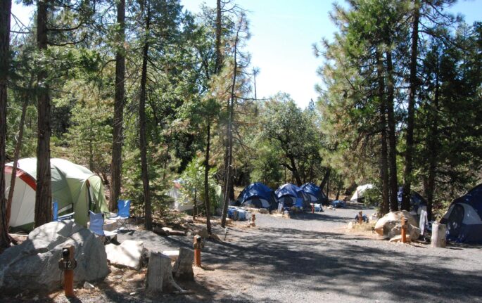 Custom Yosemite Camping - Image 5 