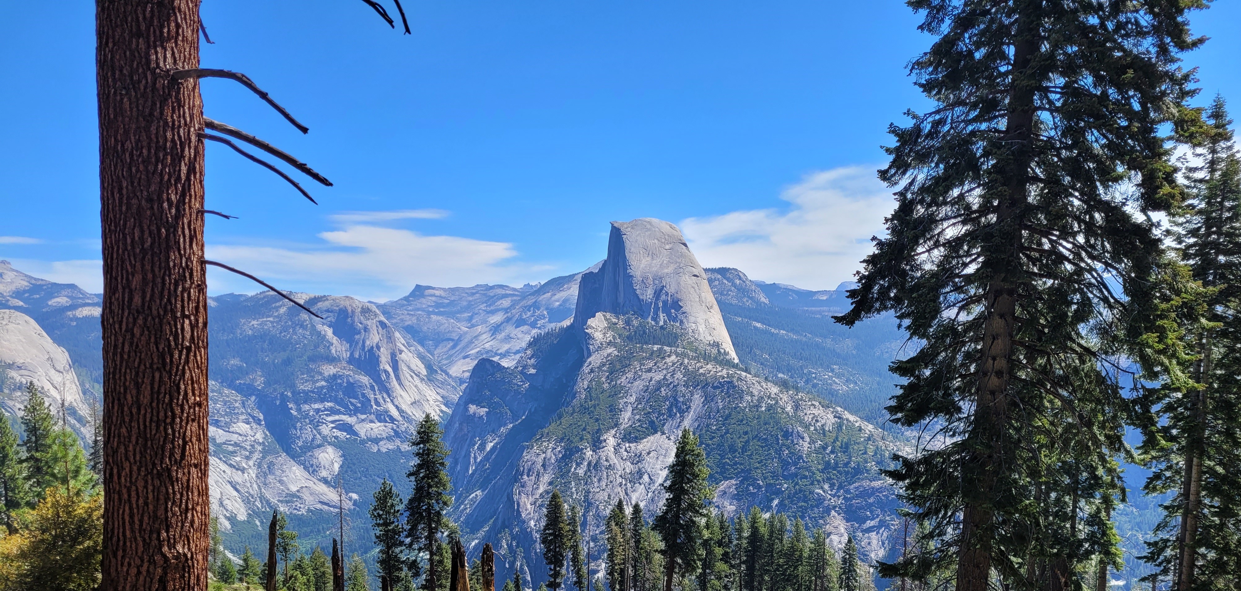 Taft Point & Sentinel Dome Loop