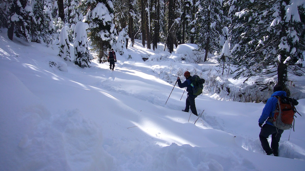 Fresh Powder on Snow Creek Trail December 2014