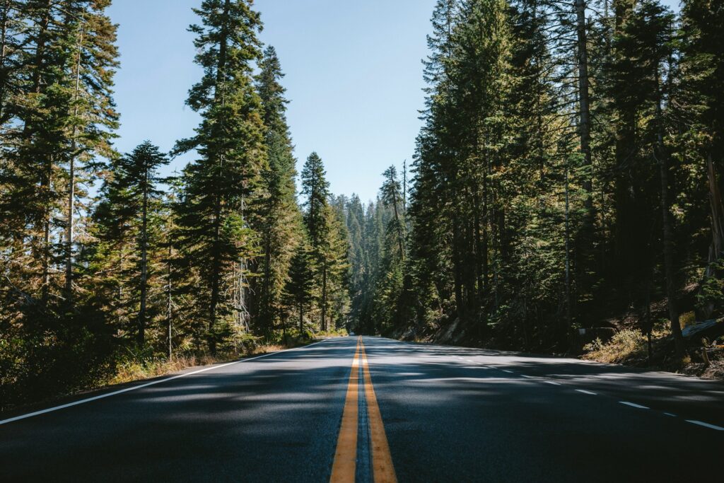 Road in Yosemite National Park.